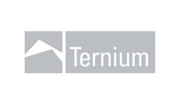Logo Ternium